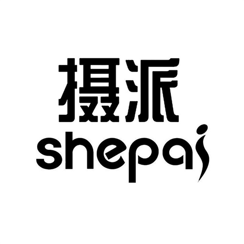攝派
