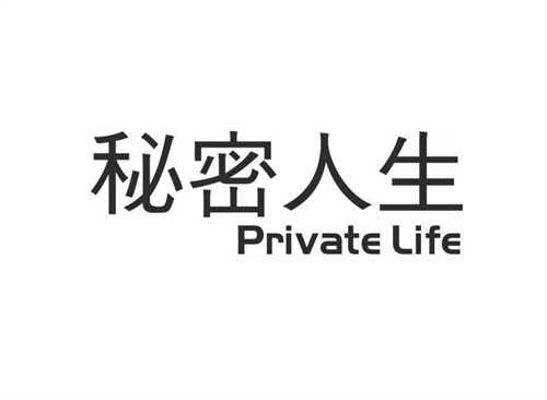 秘密人生